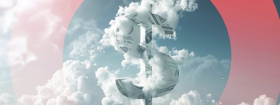 The Real Cost of Public Cloud: It's Not Cheap